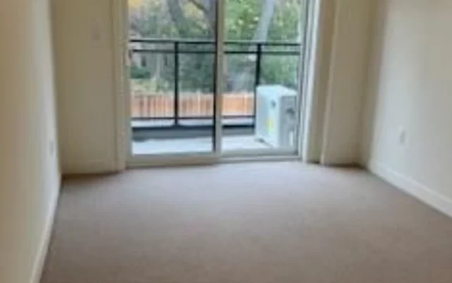 58 Elizabeth Street South 2