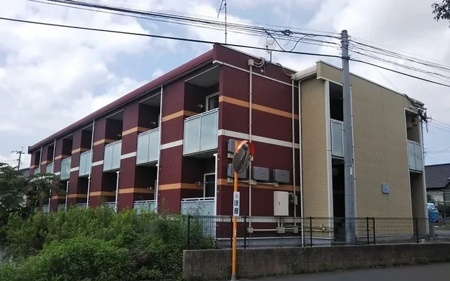 雪割草 0