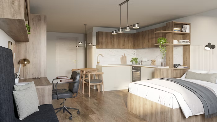 Studio silver plus (new style)