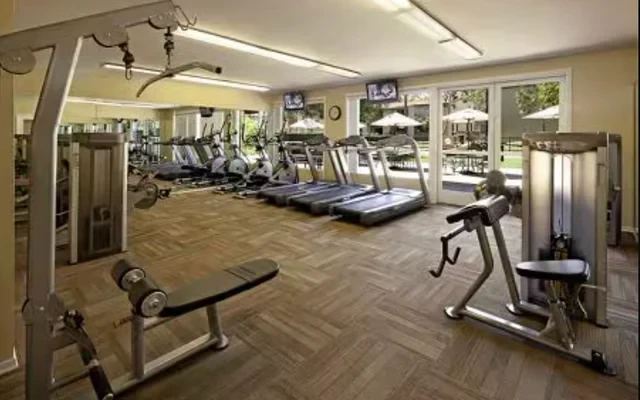 Parkwood 4