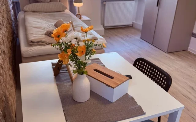 Apartment in Roemerstrasse, Mainz for 40 m² 2