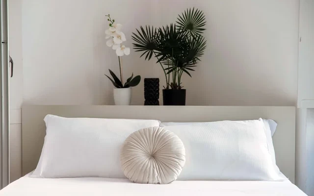 CEDRO APARTMENT - Charme nel cuore di Como 2
