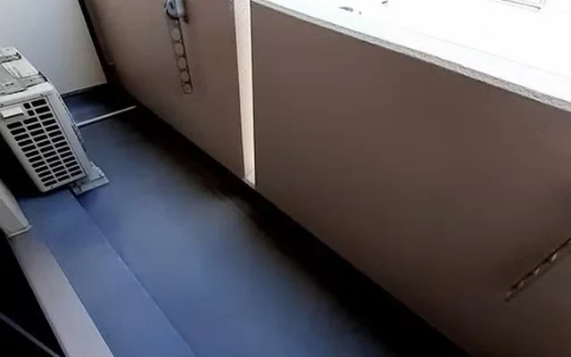 タカラ ピュア 3