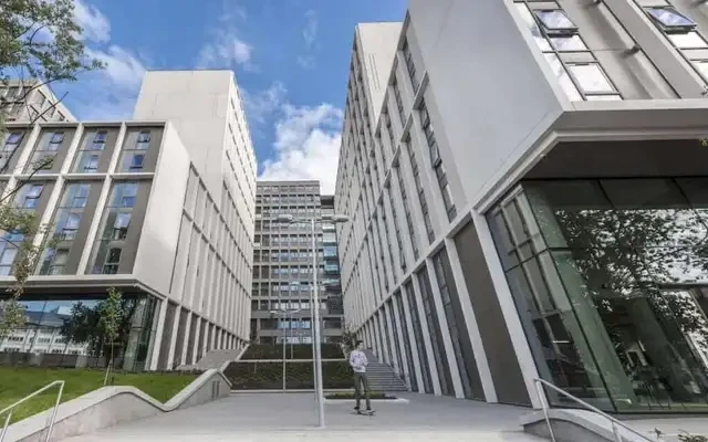 Downing CitySide 1