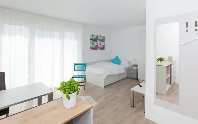 Penthouse Apartment 1