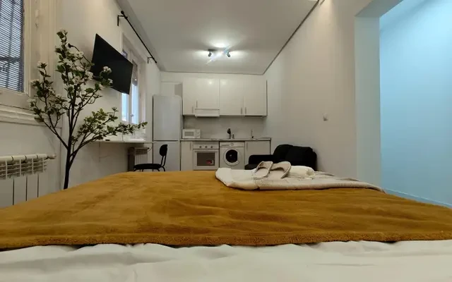 Very charming studio in the Chamberi district 1