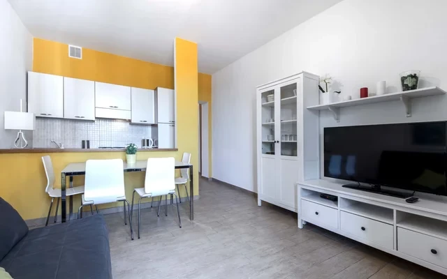Accogliente appartamento 50 mq in zona metropolitana Cenisio - G310 0