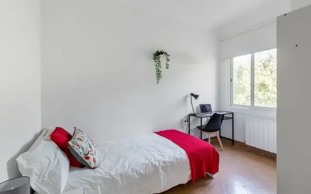 Beautiful modern and bright 5 bedroom apartment 4