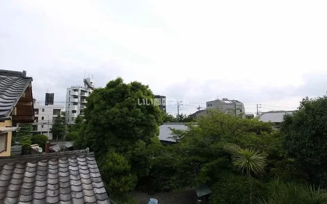 Komodo Heights Ku 4