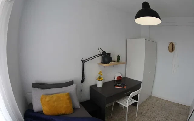 CAM229 4