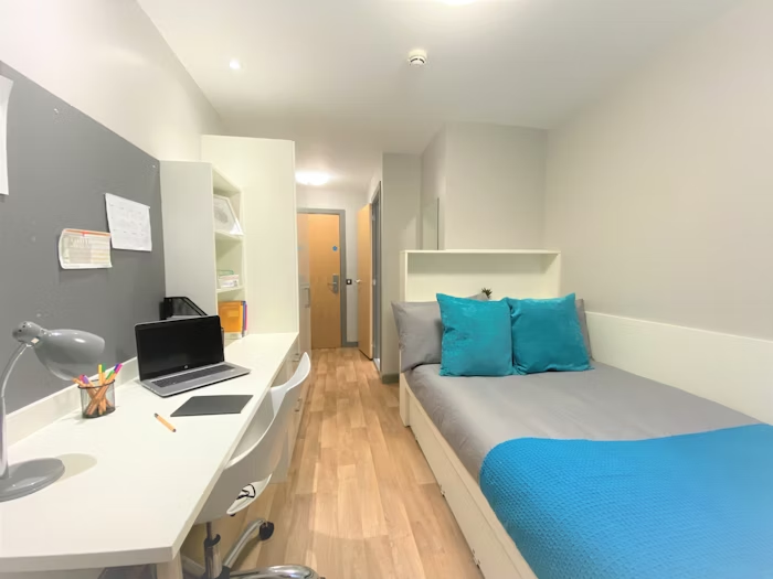 En-suite standard - skylight