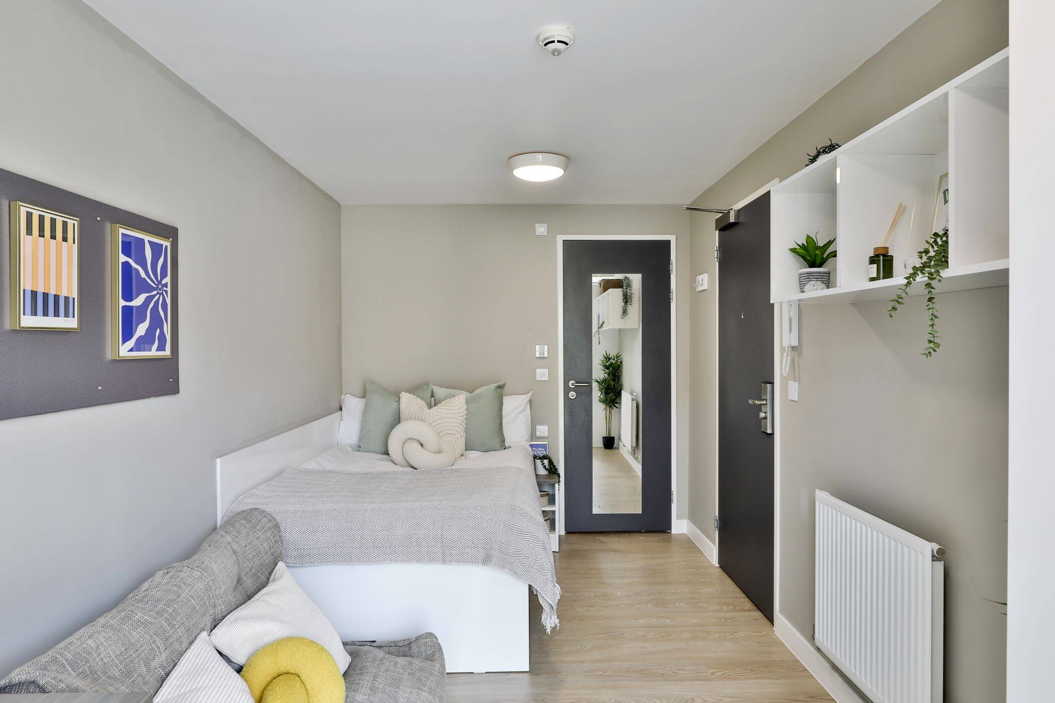 Classic Shared Apartment