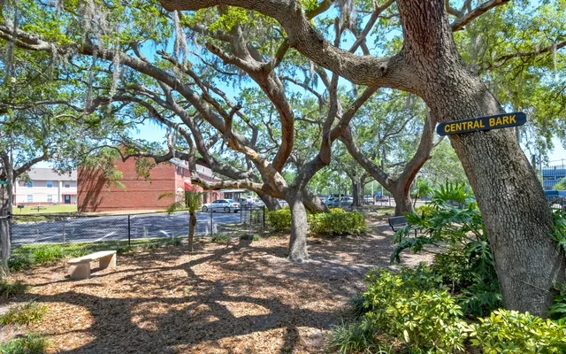 Campus Crossing on Alafaya 3