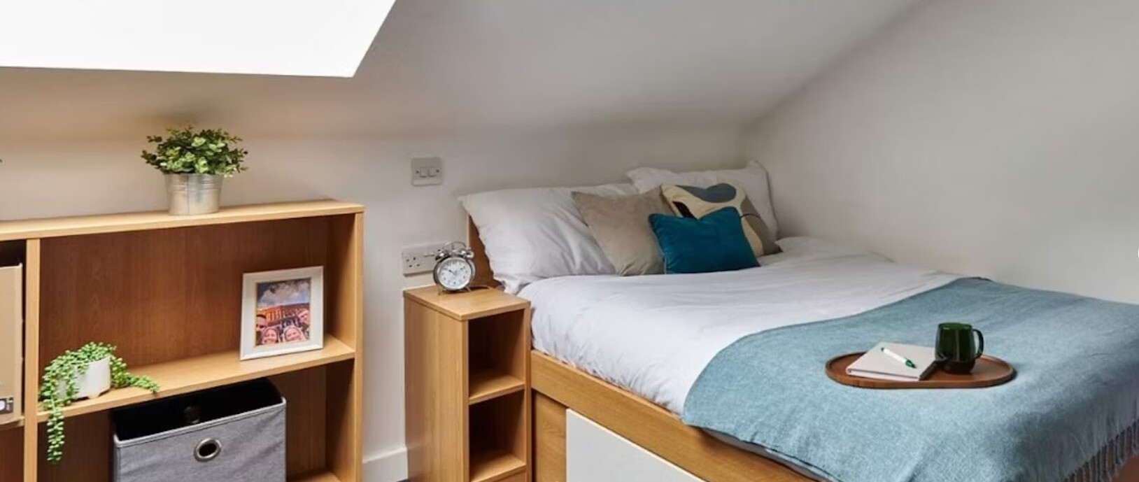 Standard Plus Studio