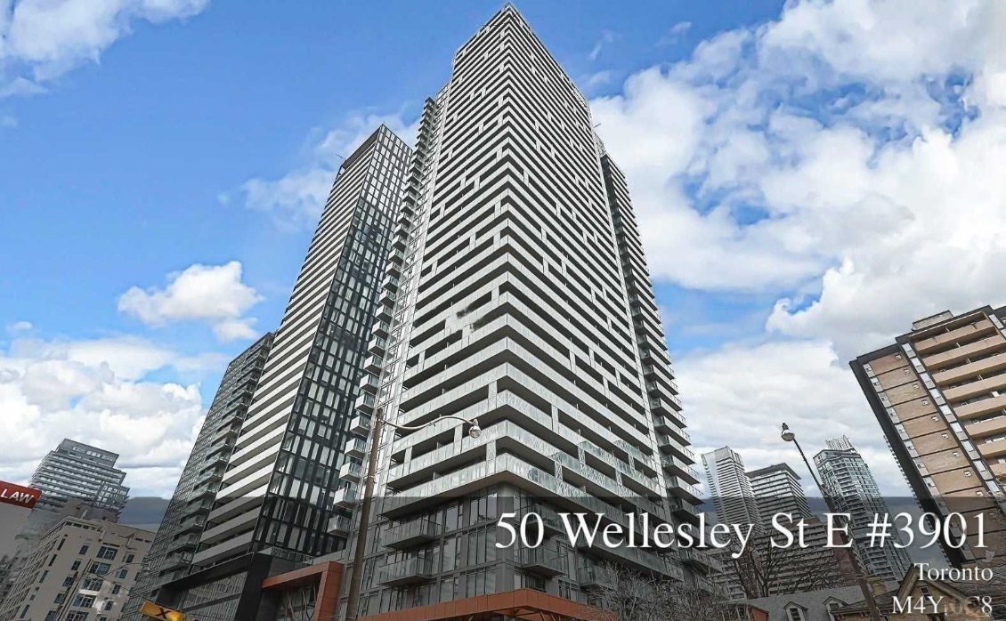 50 Wellesley St 3901