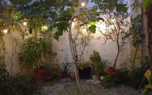 apartment near Carrer Flos i Calcat 1
