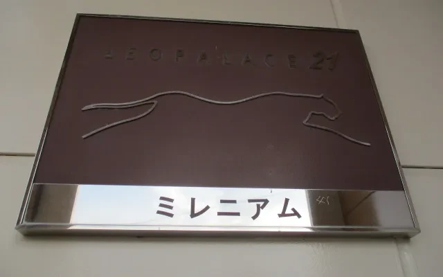 レオパレスミレニアム 2