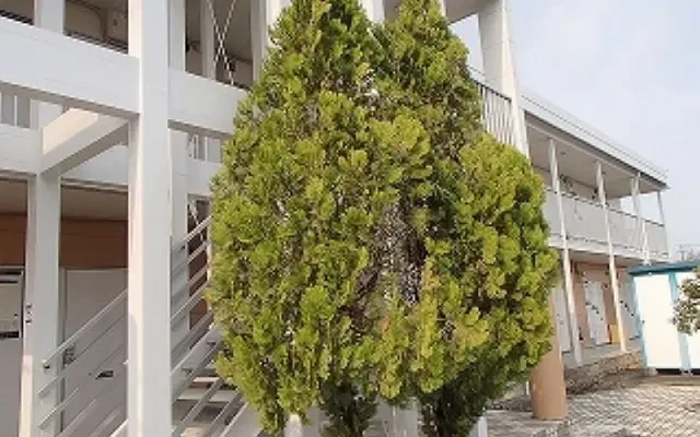 レオパレスセジュール 4