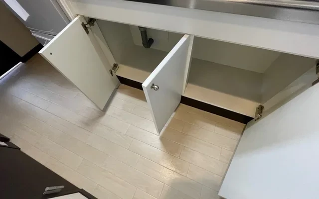 レオネクストラメール 2