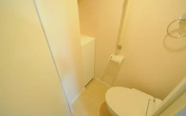 レオネクスト miyabi-kai ii 3