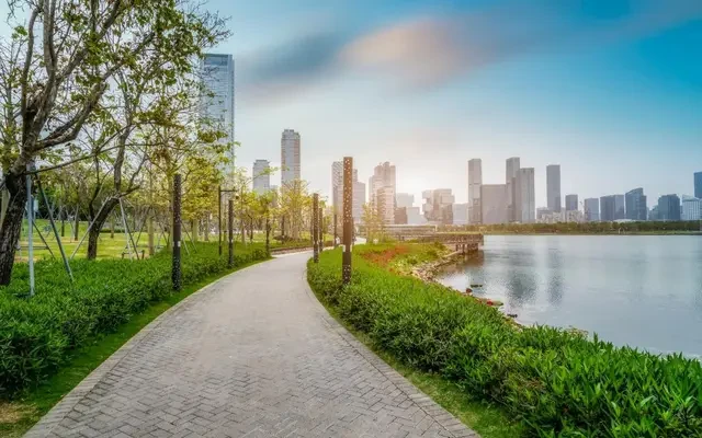 TRUEGO HOTEL X (Shenzhen Bay Port Branch) 4