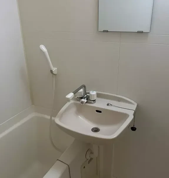 レオパレスパレスマンションⅤ