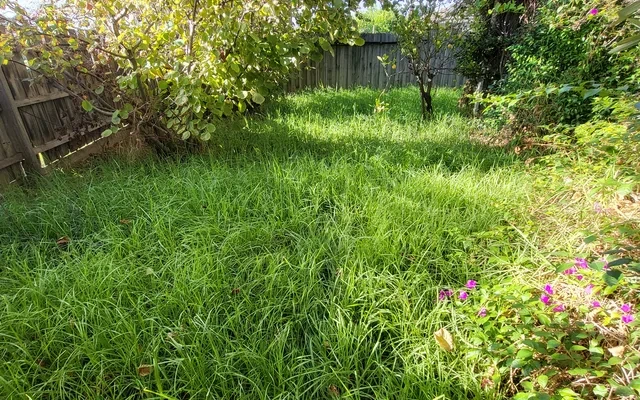 17 Corella Street 0