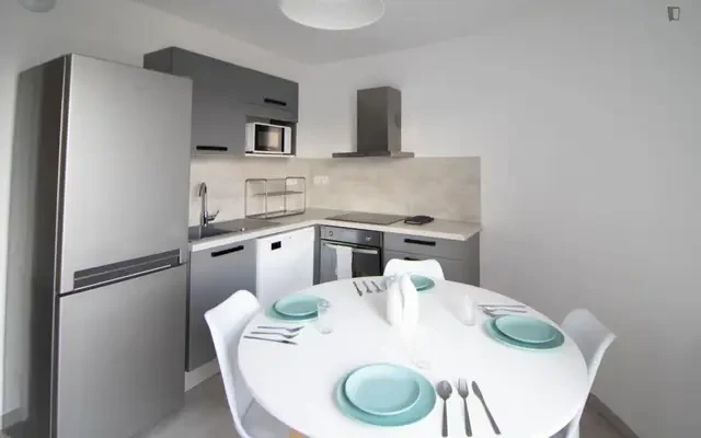 Cute 12 m² bedroom to rent in Villeurbanne - LYO31 2