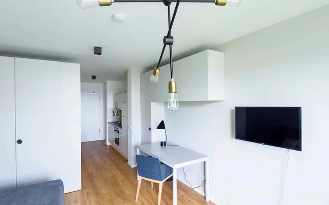 Furnished 1 room studio with elevator and balcony 0