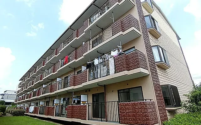 Yuji Court Tatsumi 0