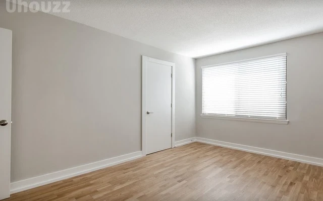 1B1B Apartment near Georgetown University 0