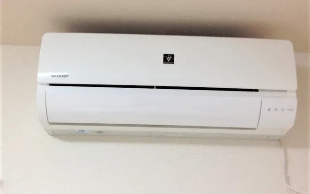 クレイノ錦 3