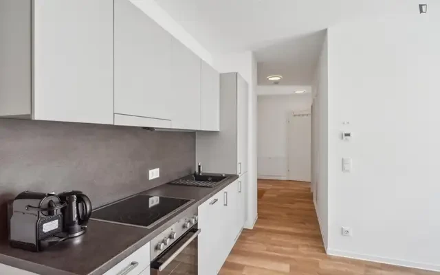 apartment near Waagner-Biro Straße - ที่พักนักศึกษาในกราซ