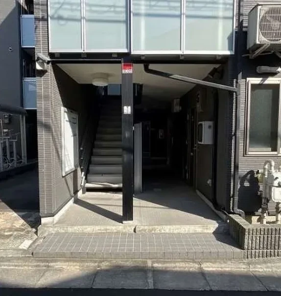 Leonext Excel Asahi VI