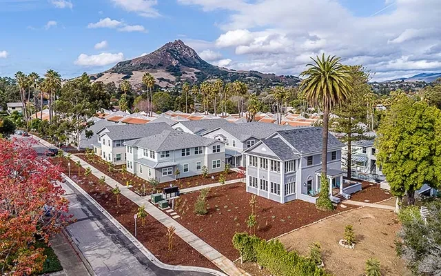 The Academy Palomar 2