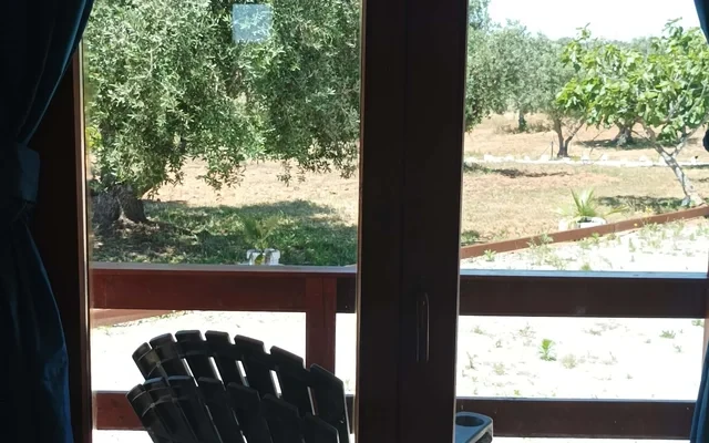 CASA DA RITA - Cozy Eco-Lodge in private sustainable family property amidst nature in Baixo-Alentejo Inland - PORTUGAL 4