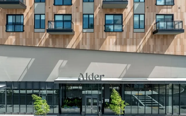 Alder at Allston Yards 4