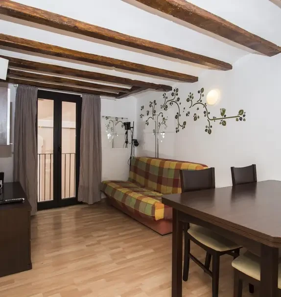 Bright studio close to the Arc de Triomf metro station