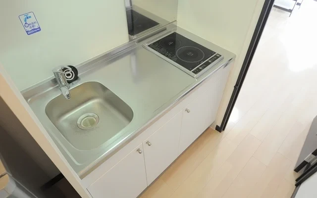 レオネクスト真 4