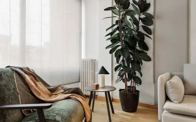 Sabate - 3 bedrooms and office in Sant Gervasi 4
