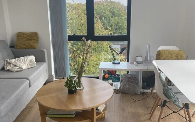 利物浦2 vine street 2bedroom apartment 4