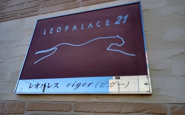 レオパレスvigor - Gifu student accommodation - 207号房间(带独立厨房)