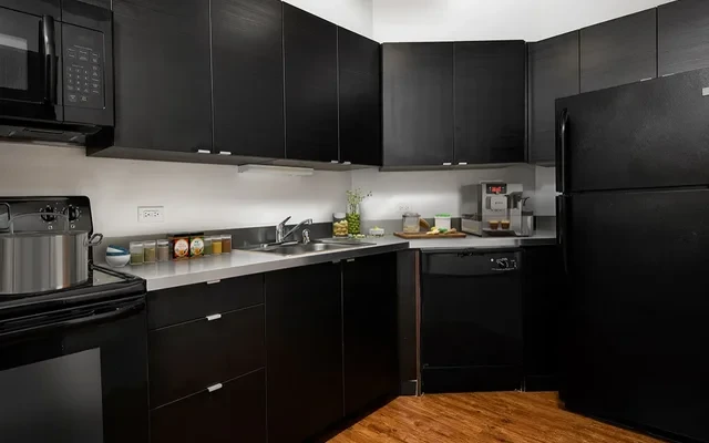 1111 N. Dearborn 1