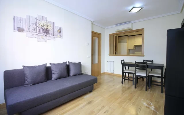 Apartment Calle de Robledo 4