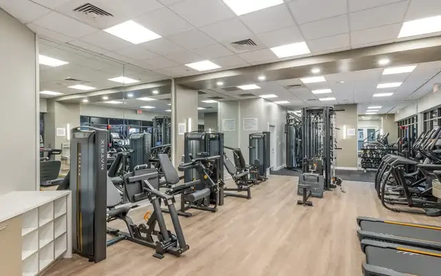 Kanso Silver Spring 2