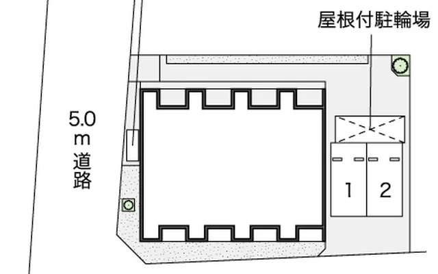 レオネクストミドリソウ 2