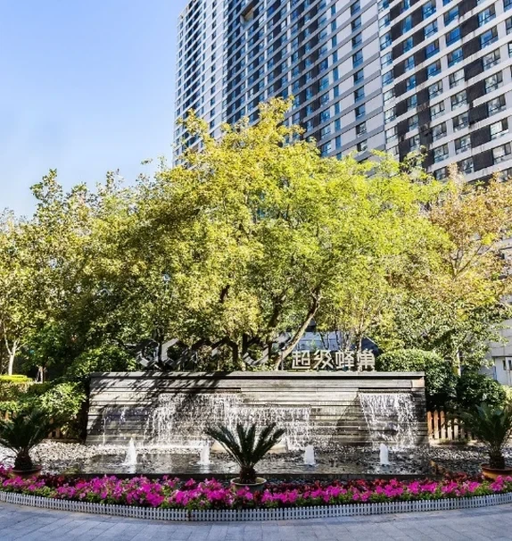 Super Hive International Youth Community