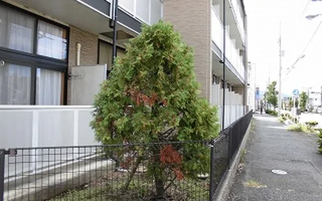 レオパレスプレシャス 1