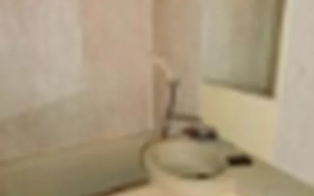 ワコーレ 三ツ沢公園 3