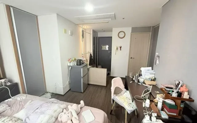 코업 3